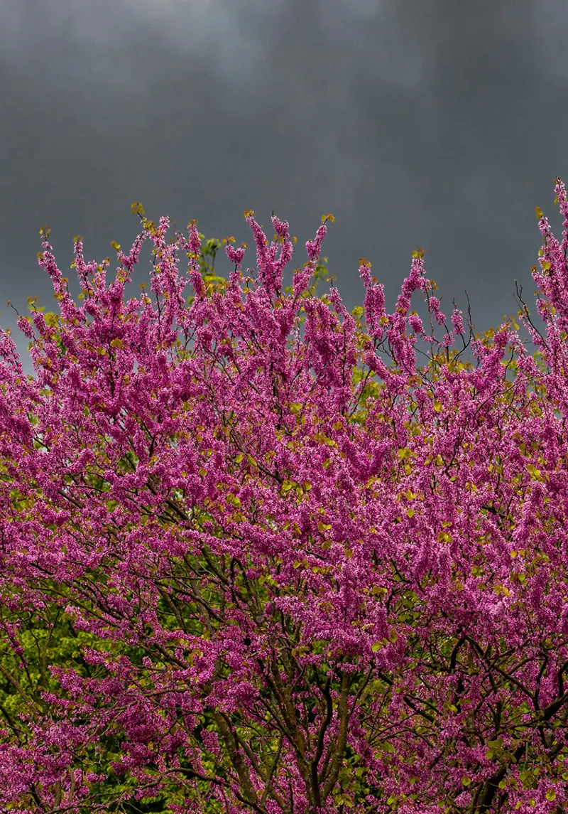 March Monthly Market Recap 2026